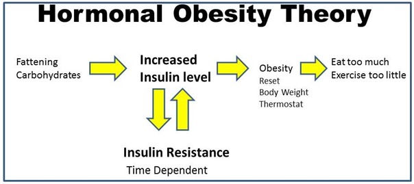 Hormonal-Obesity-theory-step-2