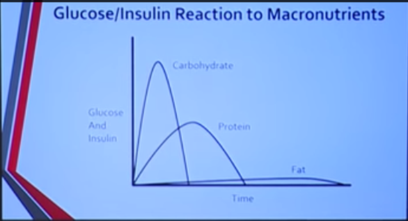 glucose-insulin-reaction-to-macronutrients